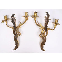 Загрузить изображение в средство просмотра галереи, GRANDE PAIRE D’APPLIQUES LOUIS XV en bronze doré à 2 bras de lumières dans l’esprit rocaille à motifs d’enroulements feuillagés
