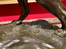 Загрузить изображение в средство просмотра галереи, Grand bronze - Léon BUREAU (1866-1906) " Chien à l'arrêt "